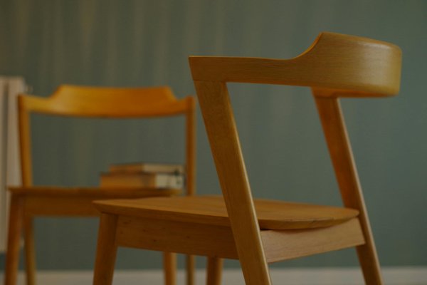 Les secrets des systèmes d'arrosage pour un jardin parfait