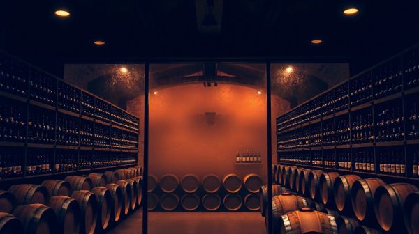 Les avantages esthétiques de la trappe de cave vitrée